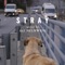 Crossing the Bridge - Ali Helnwein lyrics