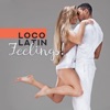 Loco Latin Feelings!