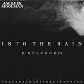 Into the Rain (Unplugged) artwork
