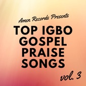 Top Igbo Gospel Praise Songs, Vol. 3 artwork