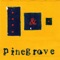 Unison - Pinegrove lyrics