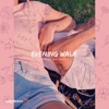 Evening Walk - Single