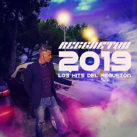 Various Artists - Reggaeton 2019: Los Hits del Regueton artwork