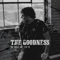 Say You'll Wait for Me - The Goodness lyrics