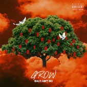 Sai It Ain’t So - Grow (Radio Edit)