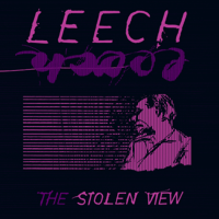 Leech - The Stolen View (Remaster) artwork