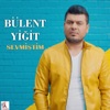 Sevmiştim - Single