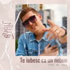 Te Iubesc Ca Un Nebun (feat. Mr. Juve) - Single