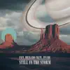 Stream & download Still in the Storm - Single