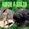 AMOR A SOLTA (feat. Alibi Montana) artwork