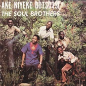 Ake Niyeke Botsotsi artwork