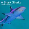 A Shark Sharks - Single album lyrics, reviews, download