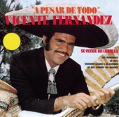 Vicente Fernández - A Pesar De Todo