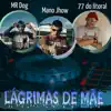 Lágrimas de Mãe (feat. Mr. D.O.G. & 77 do Litoral) album lyrics, reviews, download