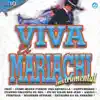 Viva el Mariachi Vol. 10 Instrumental album lyrics, reviews, download