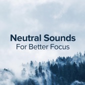 Neutral Sounds for Better Focus artwork