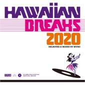 HAWAIIAN BREAKS 2020 [DJ MIX] artwork