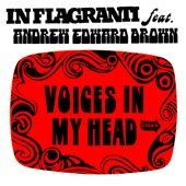 Voices in My Head (Overwhelming Response Mix) [feat. Andrew Edward Brown] artwork