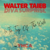 On the Top of the World (feat. Ymca) [Extended Mix] artwork