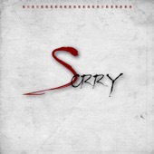 Sorry artwork