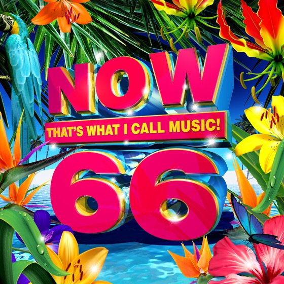 Cover artwork for Don't Tell Me (NOW What’s Next!)