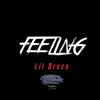 Feeling - Single album lyrics, reviews, download