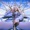 HOTHIT AVA MAX - KINGS AND QUEENS PT.2