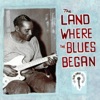 The Land Where the Blues Began: The Alan Lomax Collection, 2002