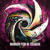 Mariachi Flor De Toloache - Dicen