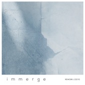 Immerge (Ceeys Rework) artwork