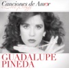 Canciones de Amor de Guadalupe Pineda artwork