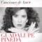 Amor, Amor, Amor - Guadalupe Pineda lyrics