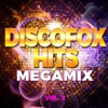 Discofox Hits Megamix, Vol. 2
