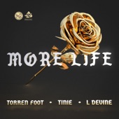 More Life (feat. Tinie Tempah & L Devine) artwork