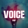 Voice (Pop Vol. 2) artwork