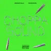 Stream & download Choppa Sound (feat. Crash Rarri) - Single