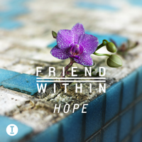 Friend Within - Hope artwork