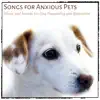 Songs for Anxious Pets: Music and Sounds for Dog Tranquility and Relaxation album lyrics, reviews, download