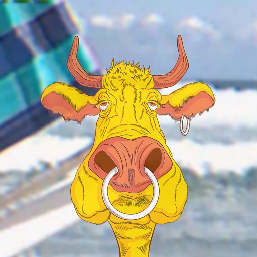 Album artwork