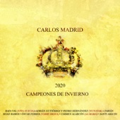 Campeones de Invierno 2020 (feat. Santi Araújo, Pedro Hernández, Carmen Alarcón, Adrian Gutiérrez, Road Ramos, Rafa Val, Oscar Ferrer & Fabián) artwork