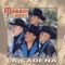 Amor de Mis Amores - Los Morros del Norte lyrics