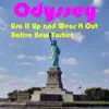 Use It up and Wear It Out - Single album lyrics, reviews, download