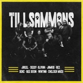 Tillsammans (feat. Chelsea Muco, Oliviah, Denz, REZ, Seedy, Jamkid & WINTINA) artwork