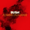 Flowers On A Grave - Single, 2020