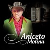 Aniceto Molina