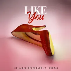 Like You (feat. Kudzai) - Single by No Label Necessary album reviews, ratings, credits