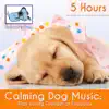 Calming Dog Music: Play During Thunder or Fireworks - 5 Hours album lyrics, reviews, download
