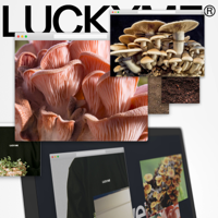 Various Artists - LuckyMe Advent Calendar 20 artwork
