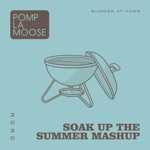 Pomplamoose - Soak Up the Summer Mashup