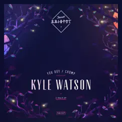 You Boy / Chomp - Single by Kyle Watson album reviews, ratings, credits